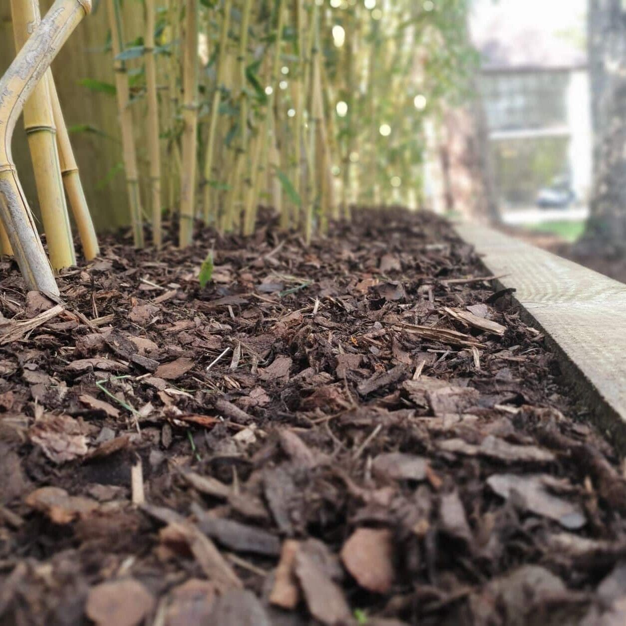 Discover 147+ bulk bag bark best esthdonghoadian