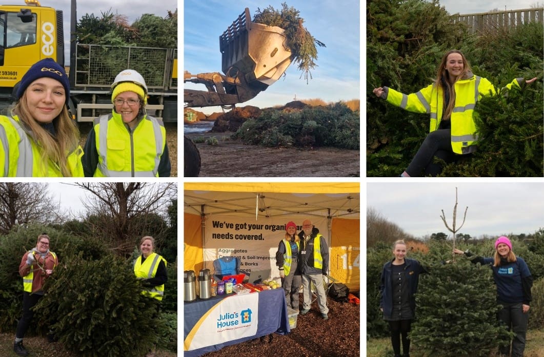 Christmas tree recycling campaign